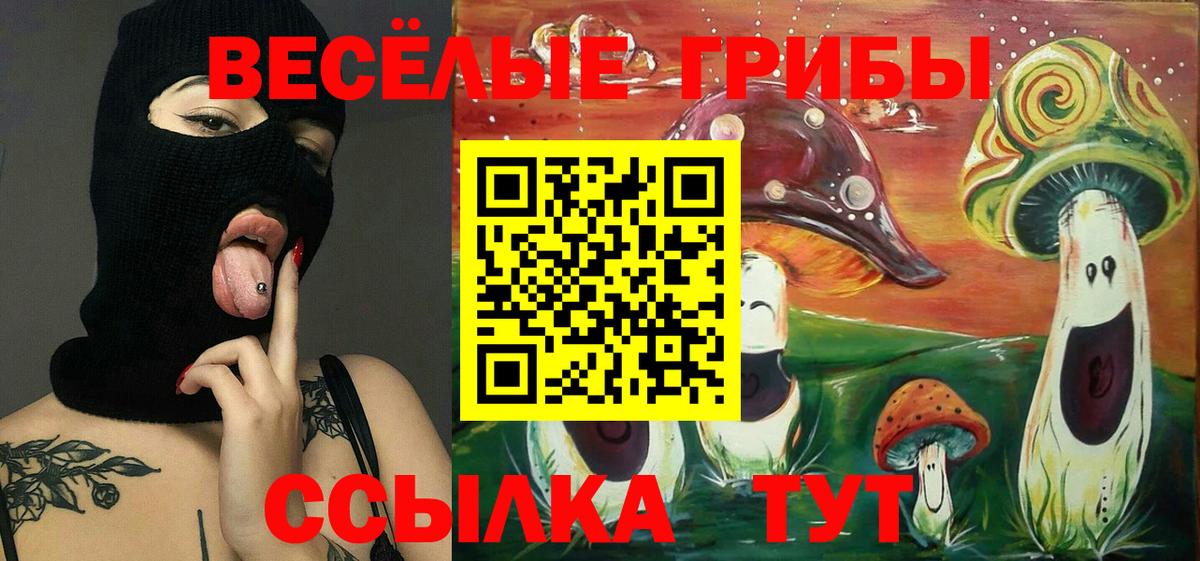 Галлюциногенные грибы Psilocybine cubensis Острогожск
